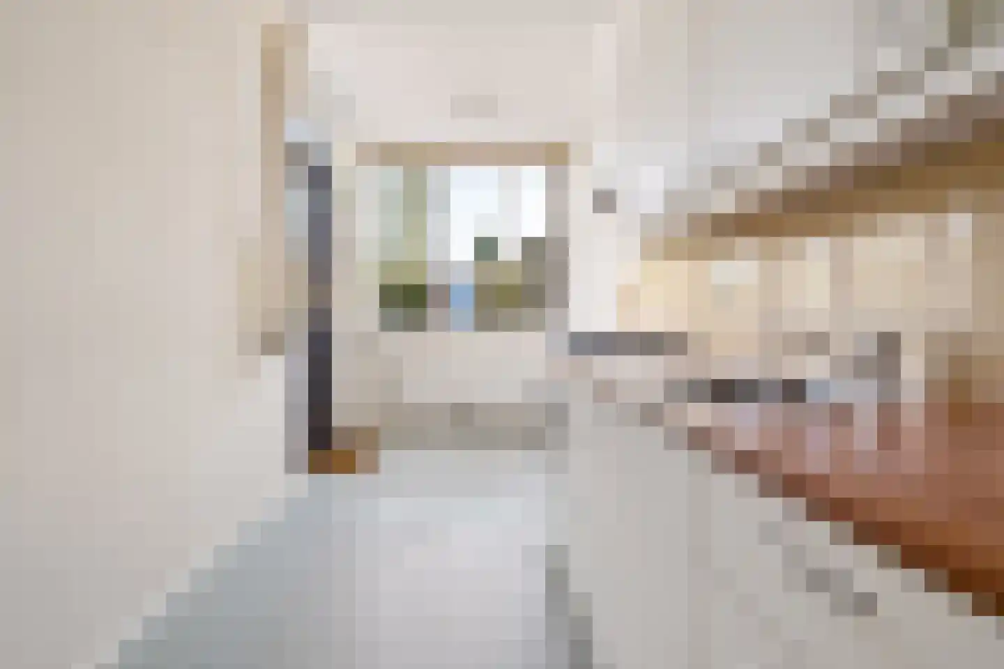 Ds J Mindenuslaan 20 Odijk thumbnail 21