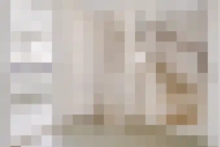 Ds J Mindenuslaan 20 Odijk thumbnail 22