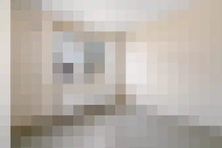 Ds J Mindenuslaan 20 Odijk thumbnail 23