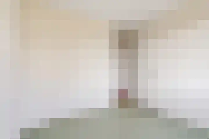 Ds J Mindenuslaan 20 Odijk thumbnail 28
