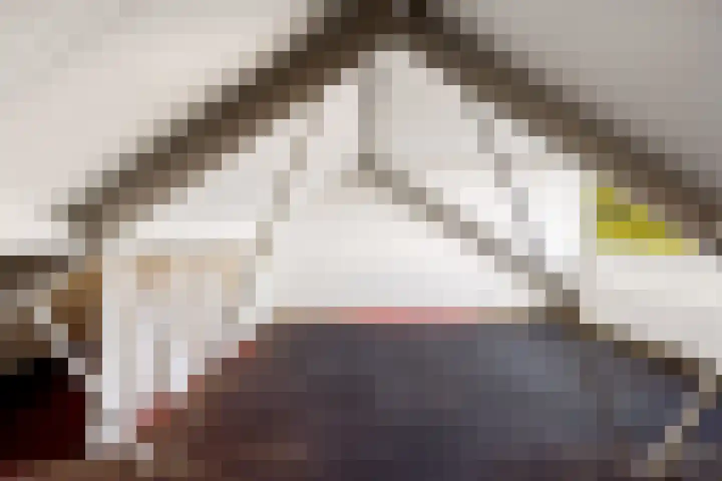 Ds J Mindenuslaan 20 Odijk thumbnail 32