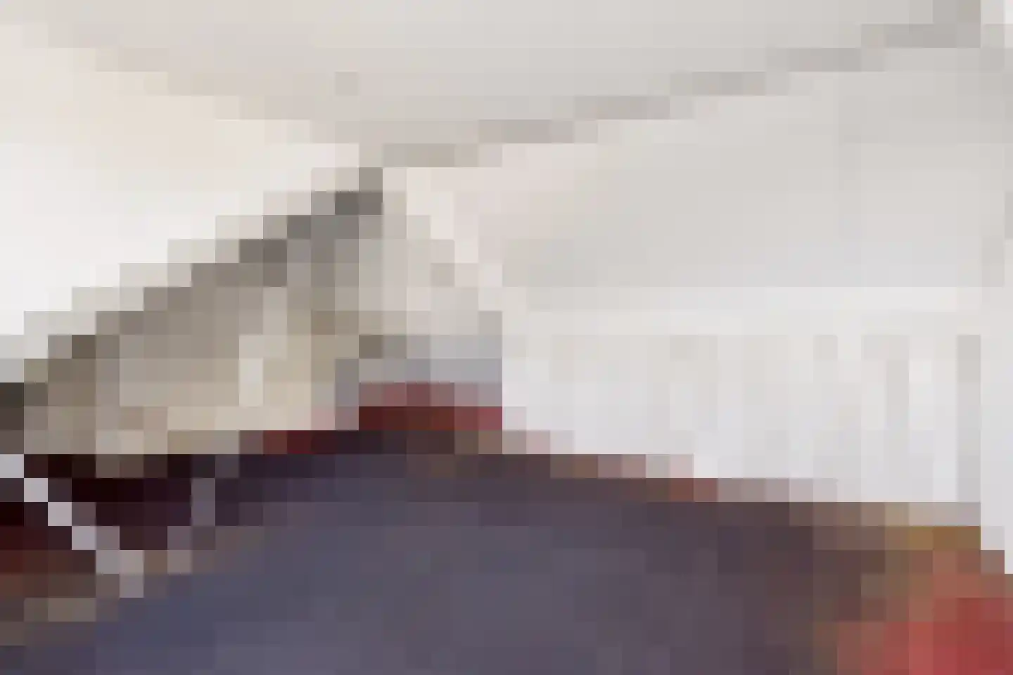 Ds J Mindenuslaan 20 Odijk thumbnail 35