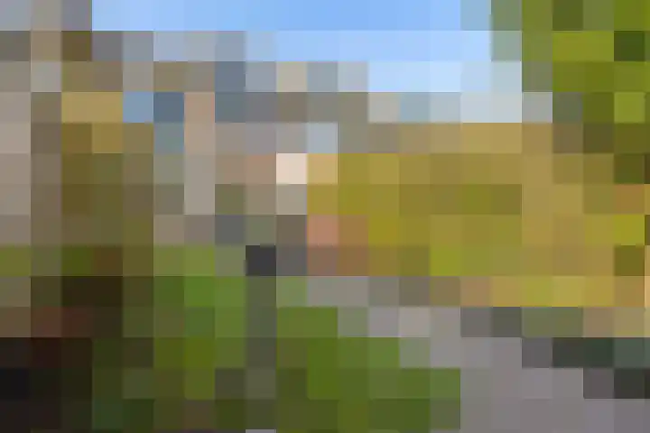 Ds J Mindenuslaan 20 Odijk thumbnail 37