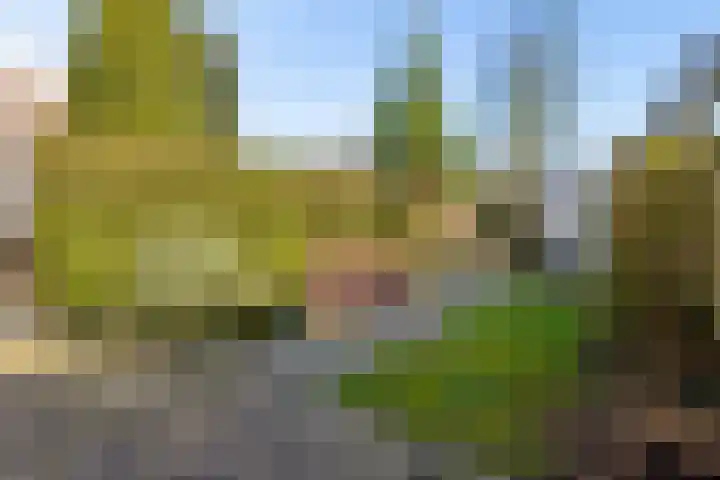 Ds J Mindenuslaan 20 Odijk thumbnail 39