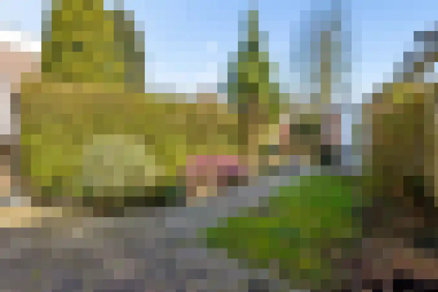 Ds J Mindenuslaan 20 Odijk thumbnail 39