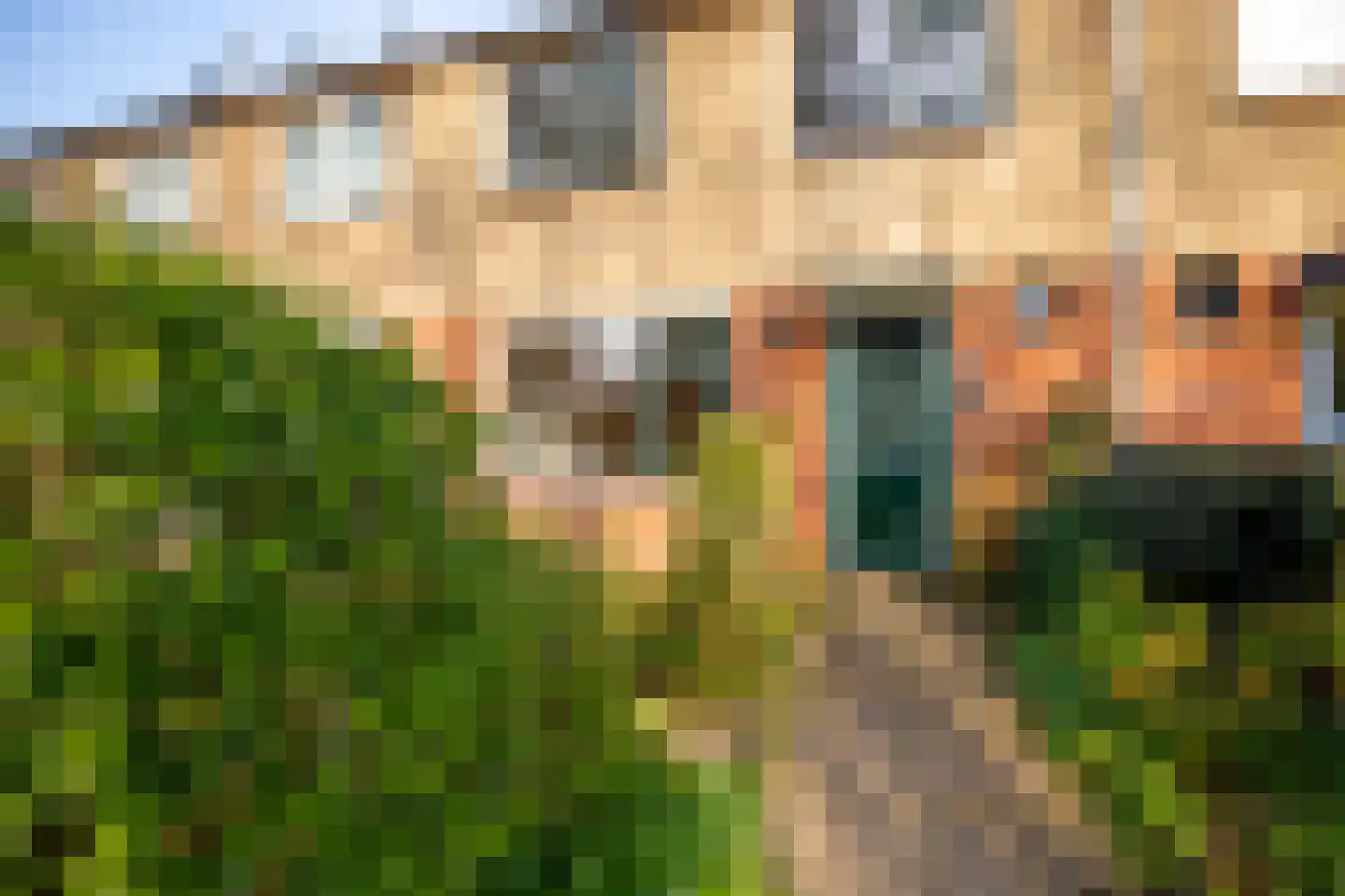 Ds J Mindenuslaan 20 Odijk thumbnail 4