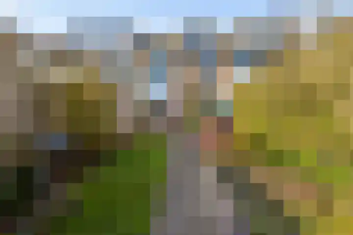 Ds J Mindenuslaan 20 Odijk thumbnail 40