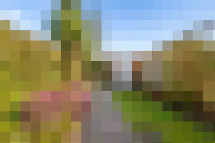 Ds J Mindenuslaan 20 Odijk thumbnail 41
