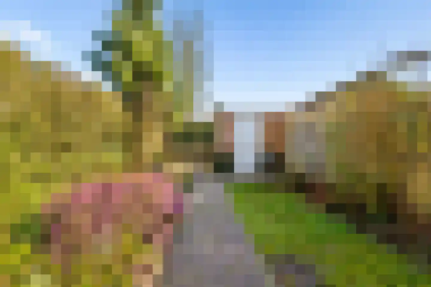 Ds J Mindenuslaan 20 Odijk thumbnail 41