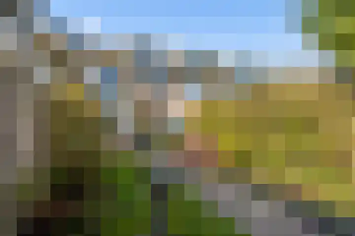 Ds J Mindenuslaan 20 Odijk thumbnail 42