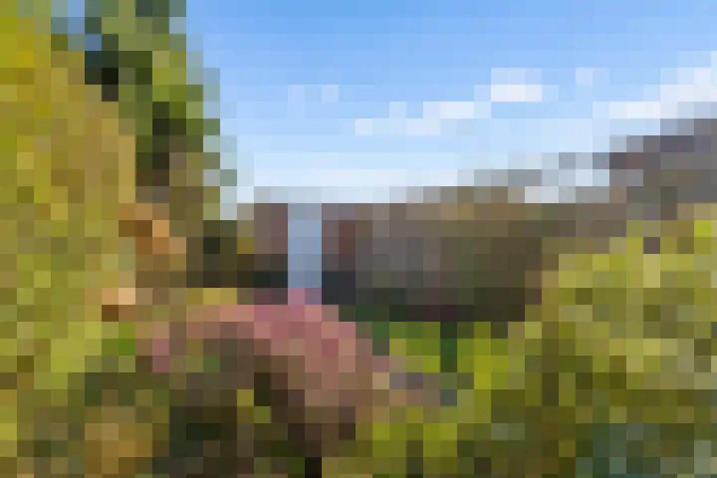 Ds J Mindenuslaan 20 Odijk thumbnail 43