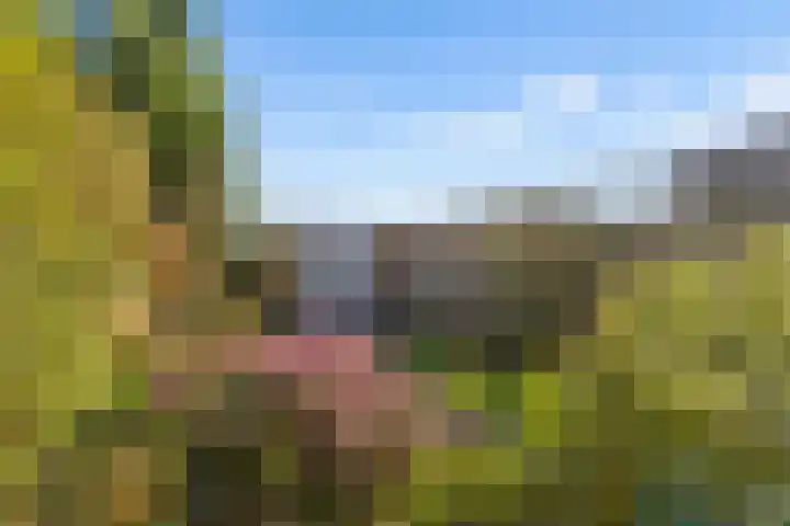 Ds J Mindenuslaan 20 Odijk thumbnail 43