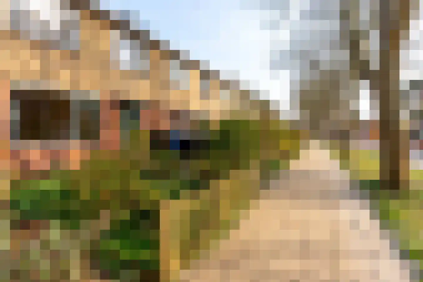 Ds J Mindenuslaan 20 Odijk thumbnail 5