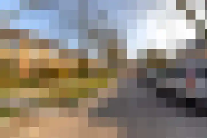 Ds J Mindenuslaan 20 Odijk thumbnail 6