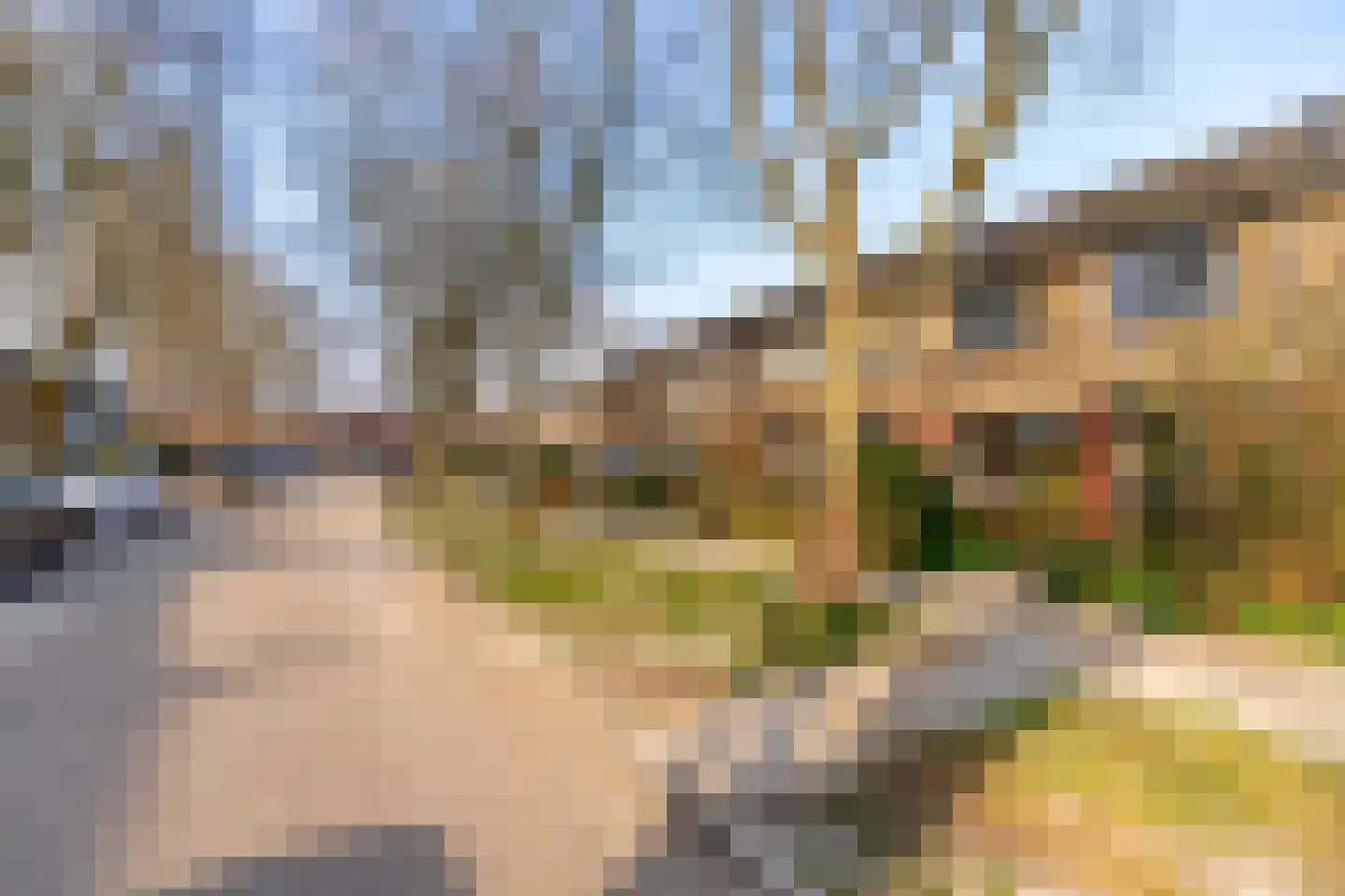 Ds J Mindenuslaan 20 Odijk thumbnail 7