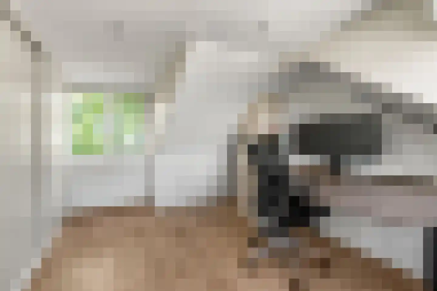 Ds J Mindenuslaan 28 Odijk thumbnail 34