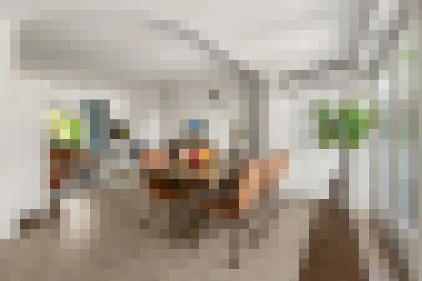 Ds J Mindenuslaan 28 Odijk thumbnail 4