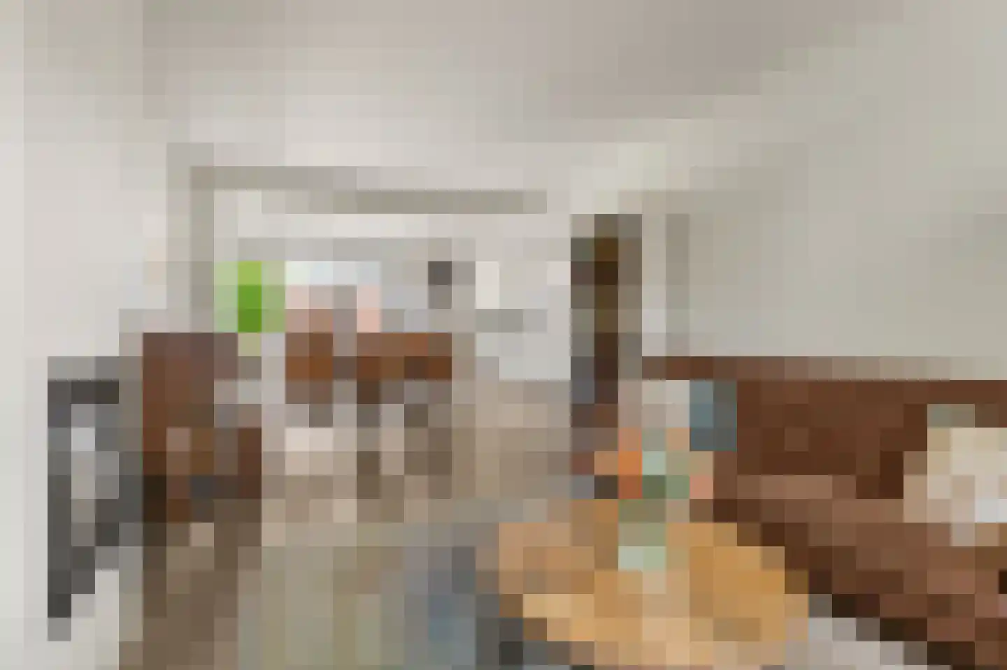 Ds J Mindenuslaan 28 Odijk thumbnail 7