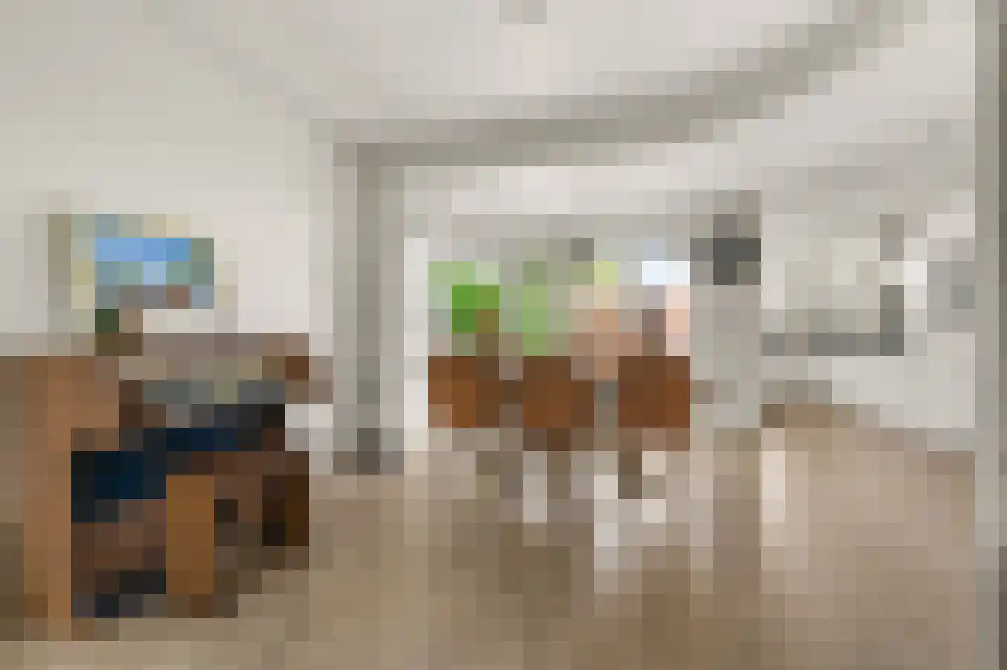 Ds J Mindenuslaan 28 Odijk thumbnail 8