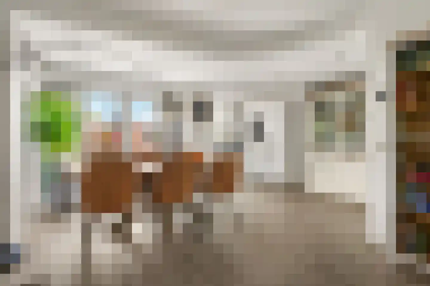 Ds J Mindenuslaan 28 Odijk thumbnail 9