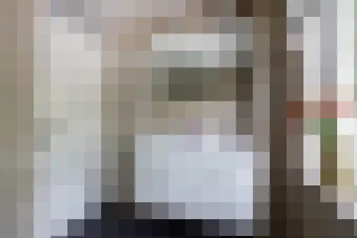 Ds J Mindenuslaan 7 Odijk thumbnail 14