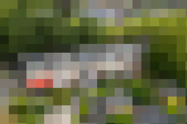 Ds J Mindenuslaan 7 Odijk thumbnail 23