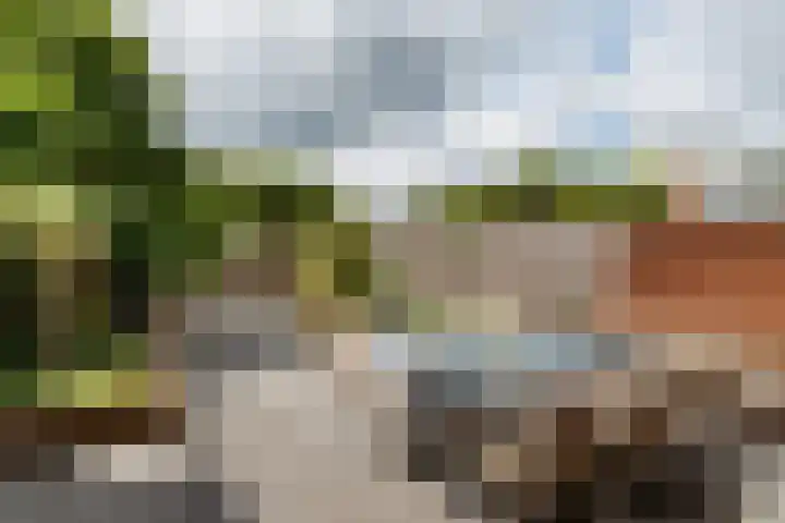 Ds J Mindenuslaan 7 Odijk thumbnail 24