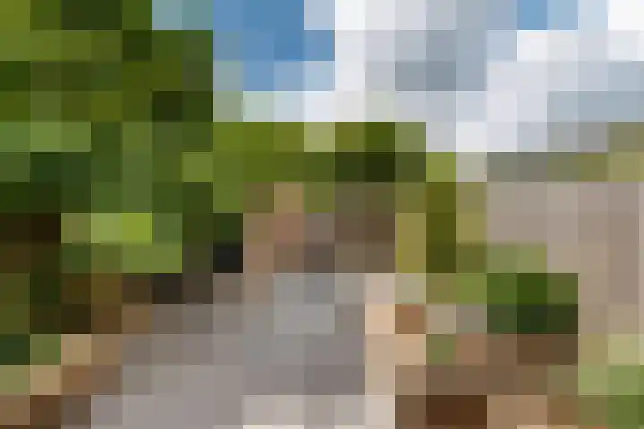 Ds J Mindenuslaan 7 Odijk thumbnail 25