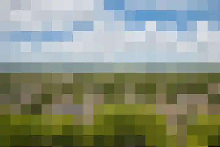 Ds J Mindenuslaan 7 Odijk thumbnail 30