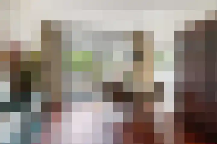 Ds J Mindenuslaan 7 Odijk thumbnail 4