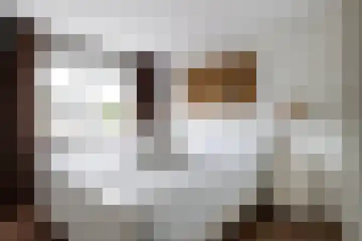 Ds J Mindenuslaan 7 Odijk thumbnail 9