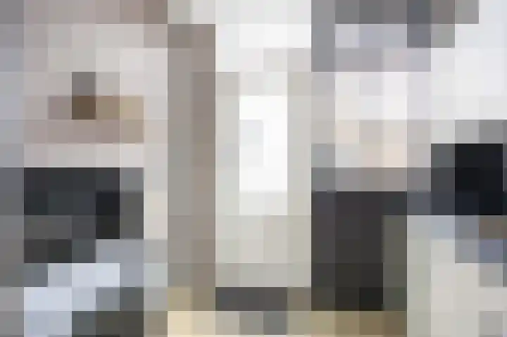 Ds J van Dijkstraat 1 Tzum thumbnail 18