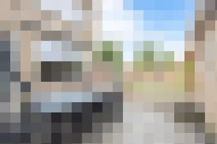 Ds J van Dijkstraat 1 Tzum thumbnail 36