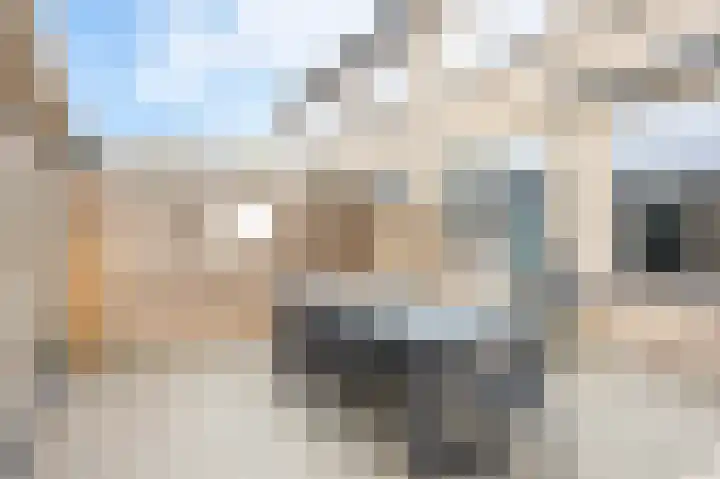 Ds J van Dijkstraat 1 Tzum thumbnail 37