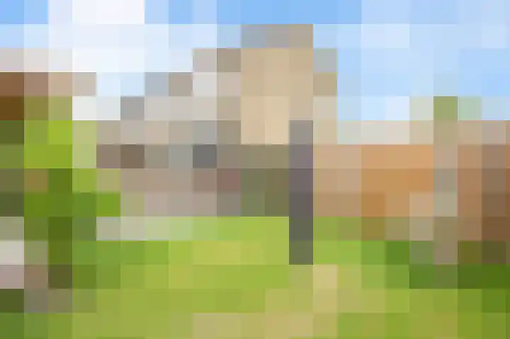 Ds J van Dijkstraat 1 Tzum thumbnail 47