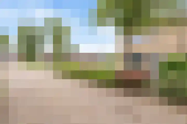 Ds J van Dijkstraat 1 Tzum thumbnail 5
