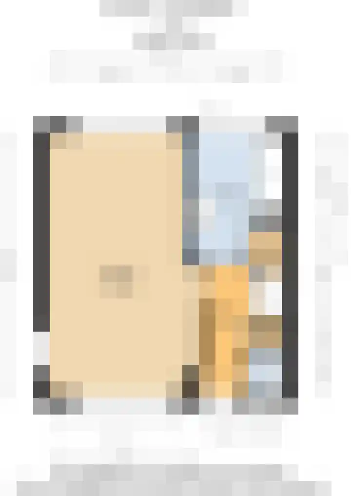 Ds J van Dijkstraat 1 Tzum thumbnail 53