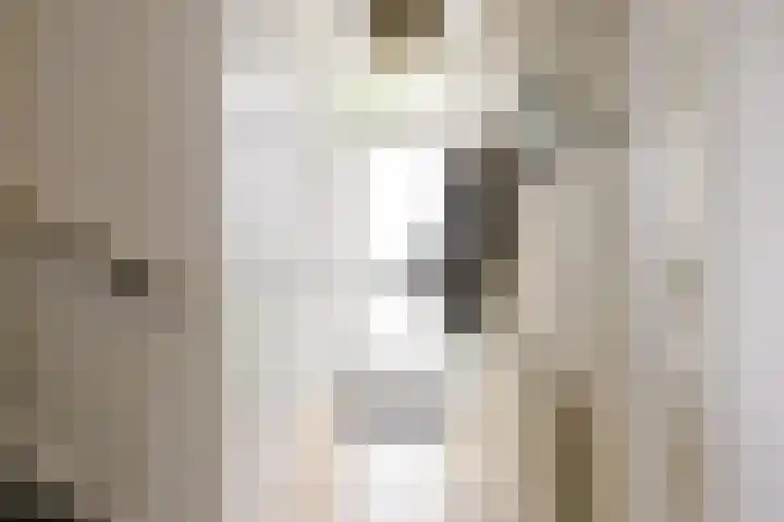 Ds J van Dijkstraat 1 Tzum thumbnail 7