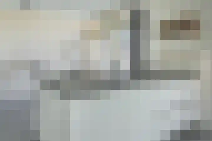 Ds J van Dijkstraat 10 Tzum thumbnail 17