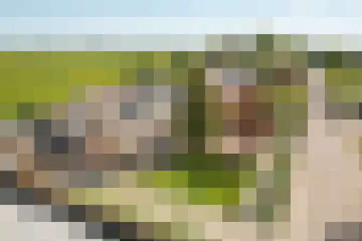 Ds J van Dijkstraat 10 Tzum thumbnail 32