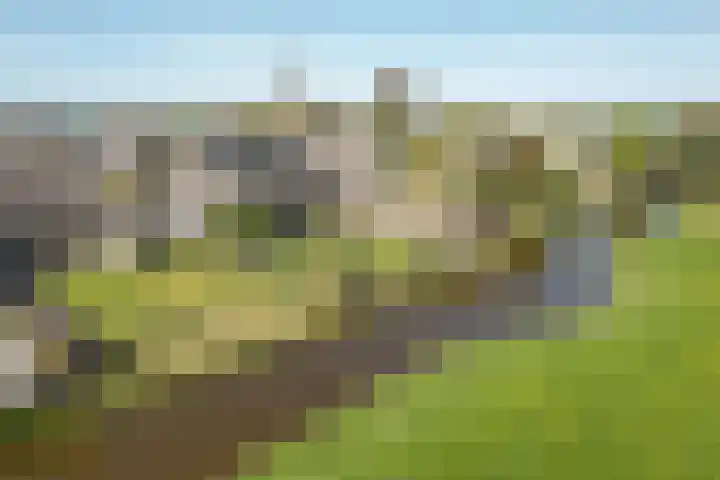 Ds J van Dijkstraat 10 Tzum thumbnail 4