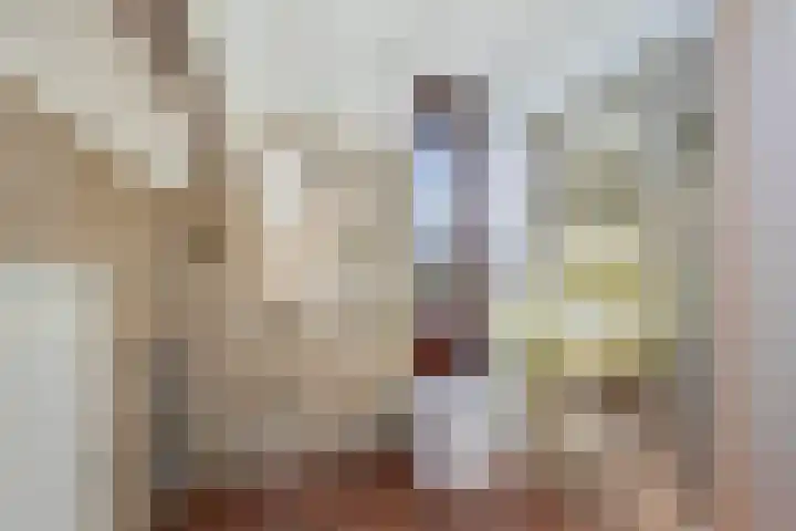 Ds J van Dijkstraat 16 Tzum thumbnail 24