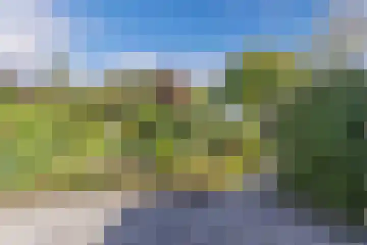 Ds J van Dijkstraat 16 Tzum thumbnail 35