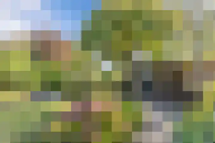 Ds J van Dijkstraat 16 Tzum thumbnail 4