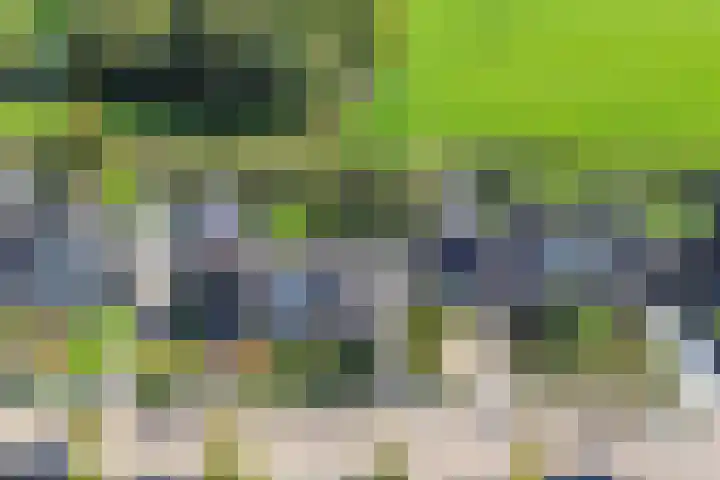 Ds J van Dijkstraat 16 Tzum thumbnail 47