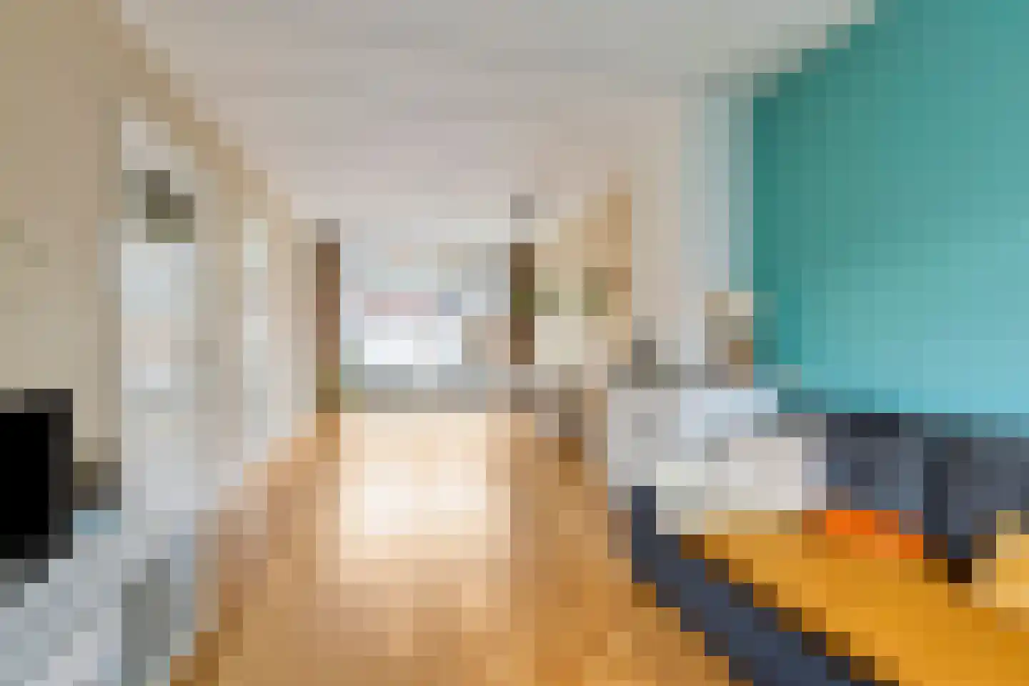 Ds. Jacobus Borstiusstraat 4 Zaandijk thumbnail 10
