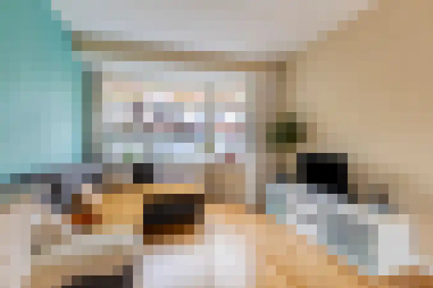 Ds. Jacobus Borstiusstraat 4 Zaandijk thumbnail 12
