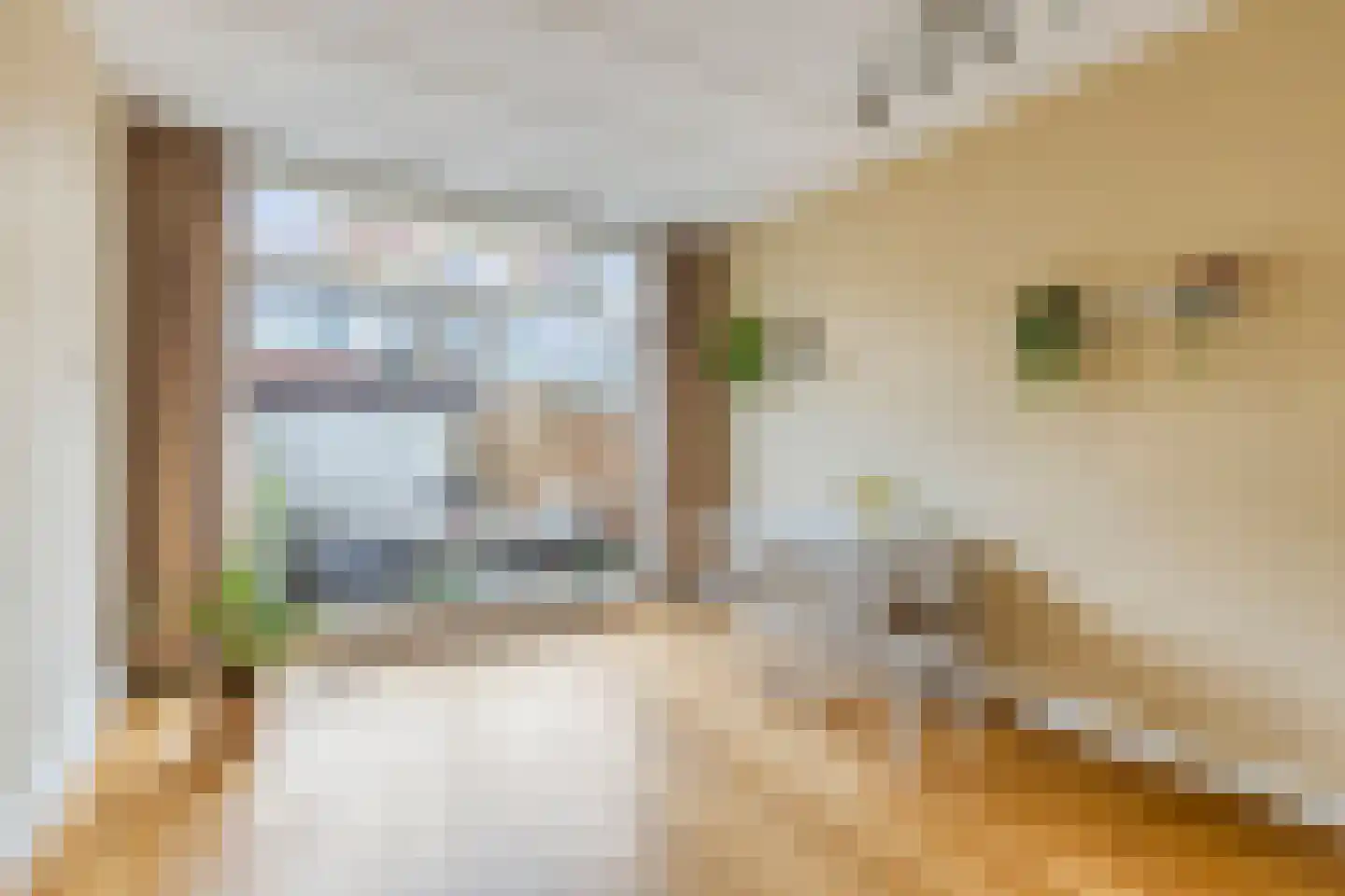 Ds. Jacobus Borstiusstraat 4 Zaandijk thumbnail 14