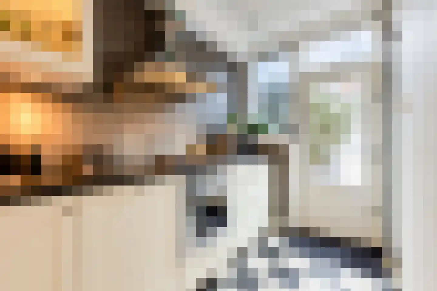 Ds. Jacobus Borstiusstraat 4 Zaandijk thumbnail 19