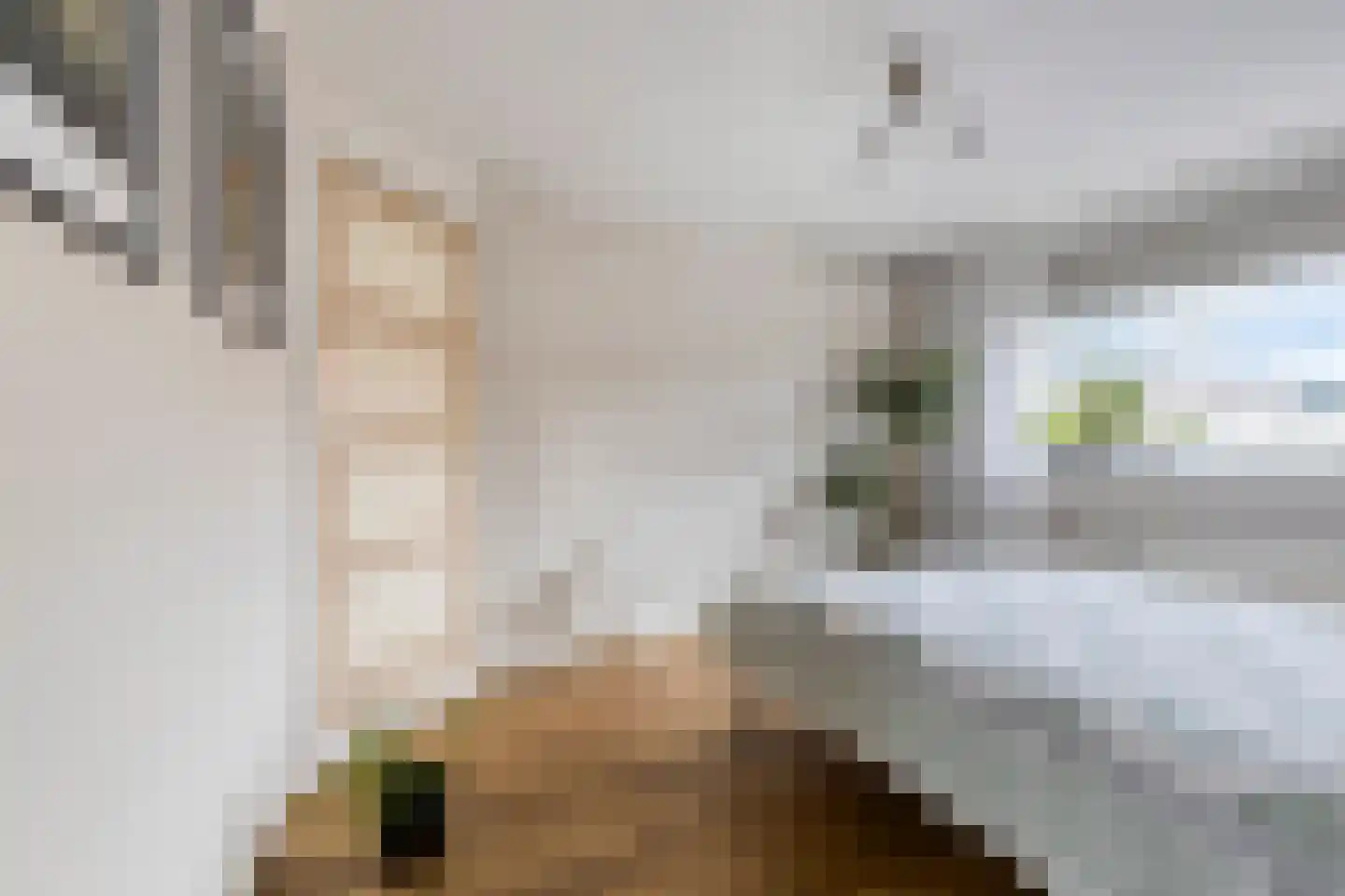 Ds. Jacobus Borstiusstraat 4 Zaandijk thumbnail 24